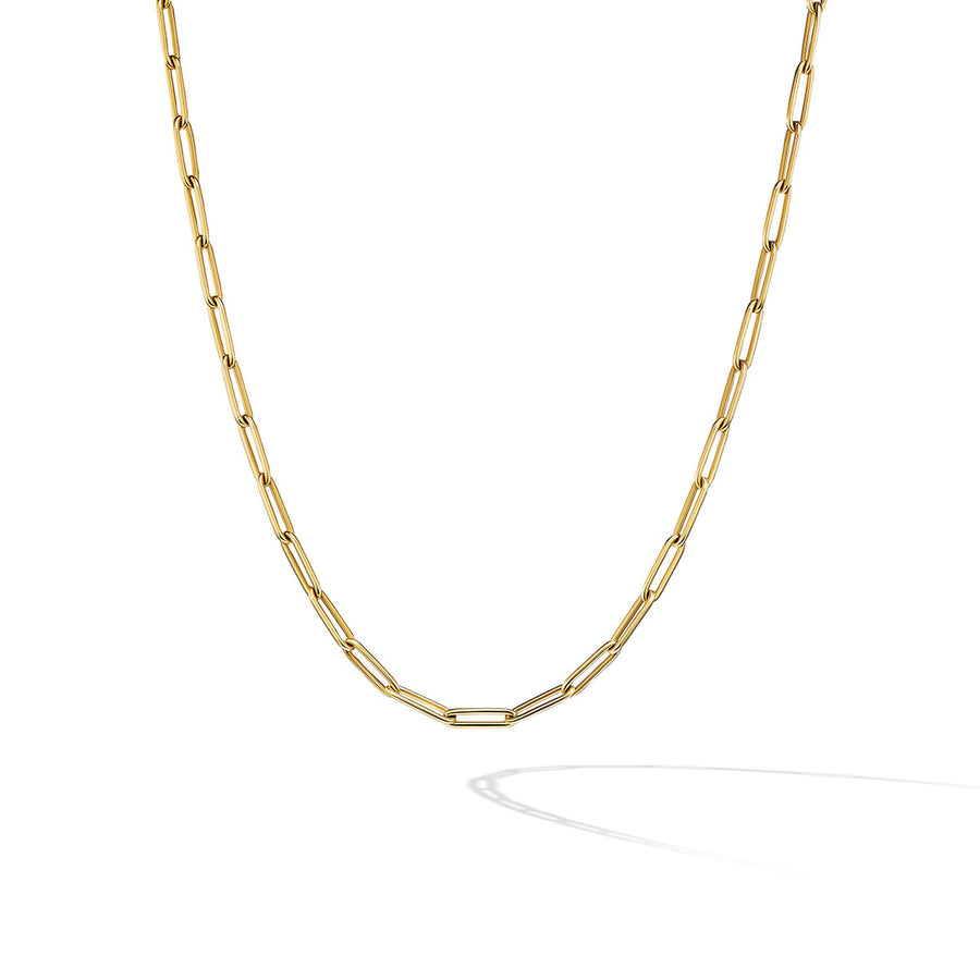 Chain Link Necklace in 18K Yellow Gold