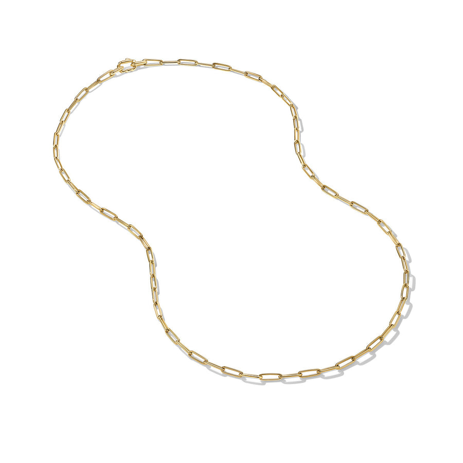 Chain Link Necklace in 18K Yellow Gold