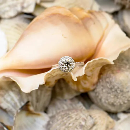 How to Keep the Ring Hidden Until the Proposal