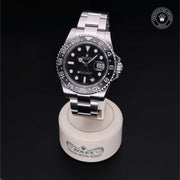 GMT-Master II