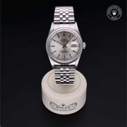 Oyster Perpetual Datejust