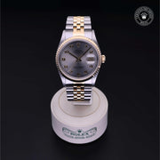 Oyster Perpetual Datejust