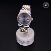 Oyster Perpetual Datejust