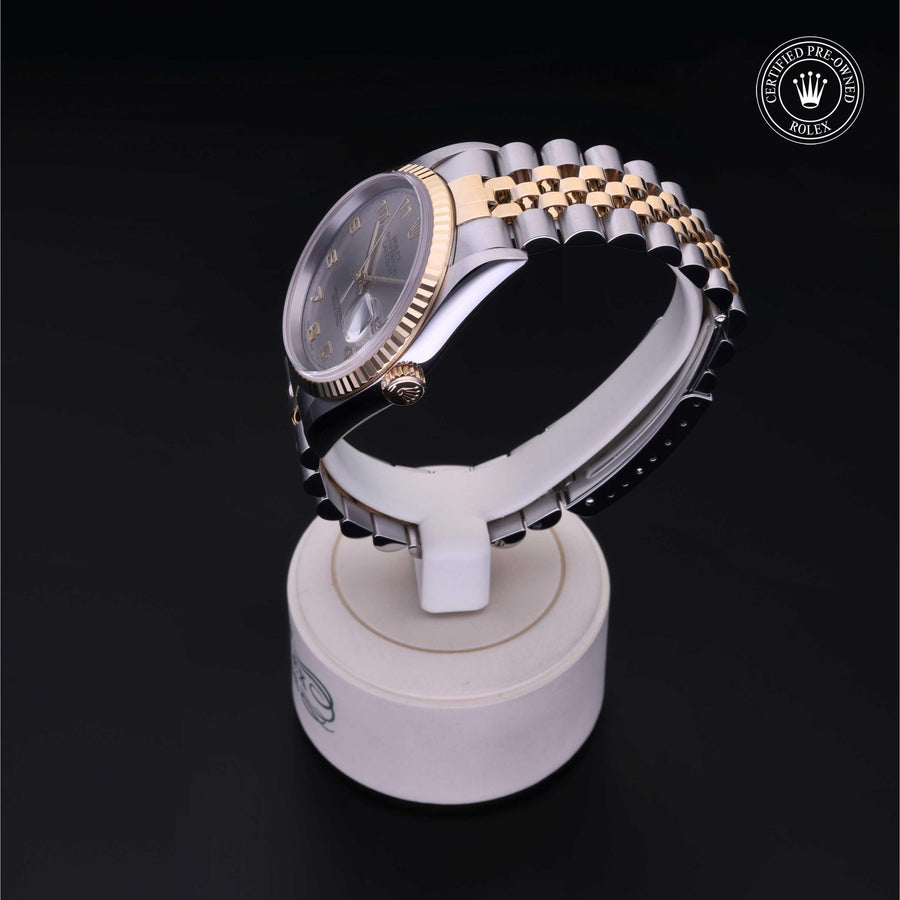 Oyster Perpetual Datejust