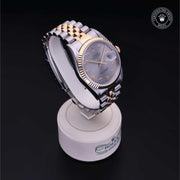 Oyster Perpetual Datejust