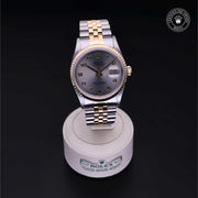 Oyster Perpetual Datejust