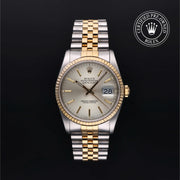 Oyster Perpetual Datejust