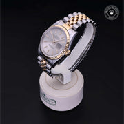 Oyster Perpetual Datejust