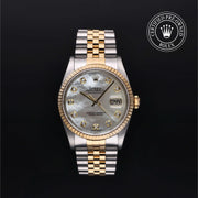 Oyster Perpetual Datejust
