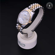 Oyster Perpetual Datejust