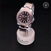Yacht-Master