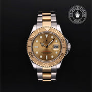 Yacht-Master