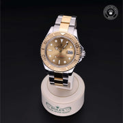 Yacht-Master