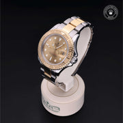 Yacht-Master