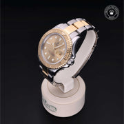 Yacht-Master