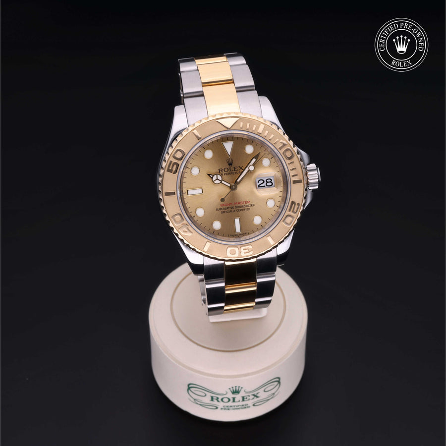 Yacht-Master
