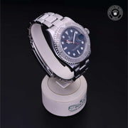 Yacht-Master