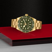 TUDOR Black Bay 58 18k 39mm - M79018V-0006 at Schiffman’s Jewelers