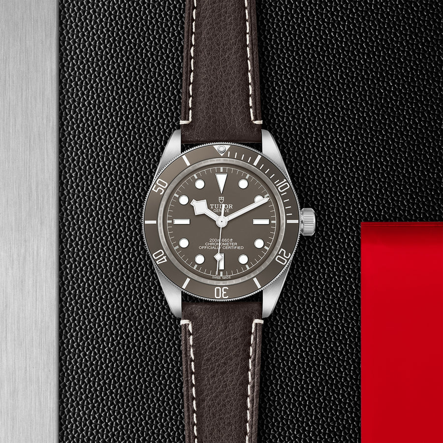 TUDOR Black Bay 58 925 39mm - M79010SG-0001 at Schiffman’s Jewelers