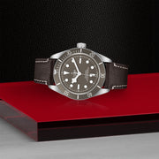 TUDOR Black Bay 58 925 39mm - M79010SG-0001 at Schiffman’s Jewelers