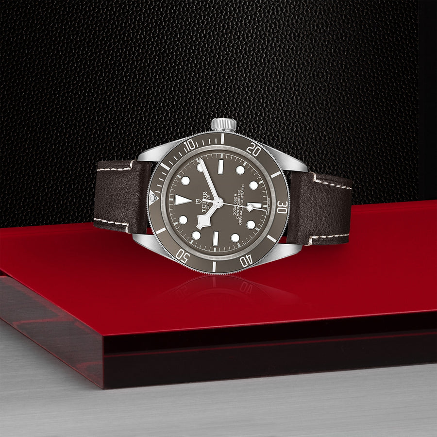 TUDOR Black Bay 58 925 39mm - M79010SG-0001 at Schiffman’s Jewelers