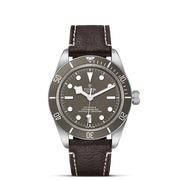 TUDOR Black Bay 58 925 39mm - M79010SG-0001 at Schiffman’s Jewelers