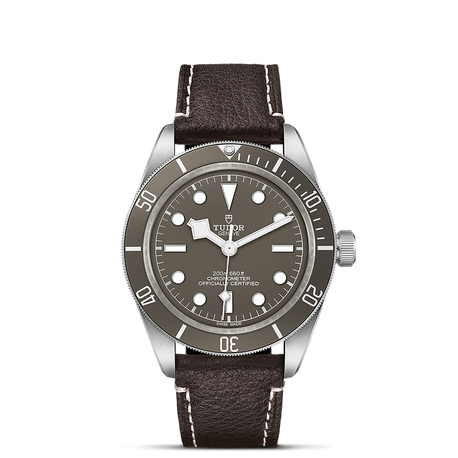 TUDOR Black Bay 58 925 39mm - M79010SG-0001 at Schiffman’s Jewelers