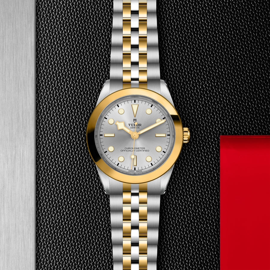 TUDOR Black Bay One 39 S&G 39mm - M79663-0002 at Schiffman’s Jewelers