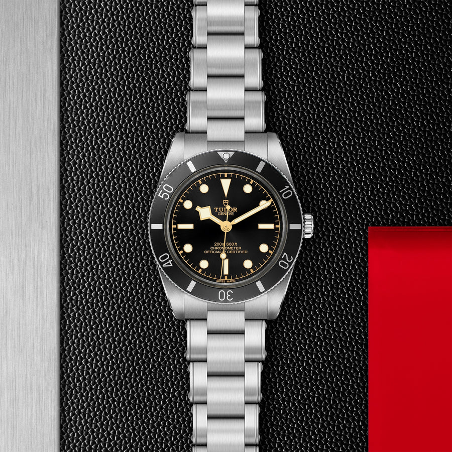 TUDOR Black Bay 54 37mm - M79000N-0001 at Schiffman’s Jewelers