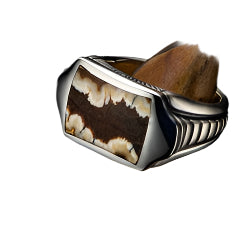 Sleek Signet Ring in Mammoth Tooth and Sterling Silver, Size 11