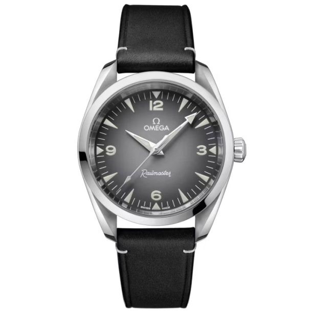 38mm Seamaster Railmaster Watch with Grey Dial in Stainless Steel, Strap