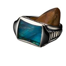Sleek Signet Ring in Labradorite and Sterling Silver, Size 10