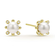 Luna 6mm Pearl and 0.04ct Diamond Stud Earrings in 18K Yellow Gold