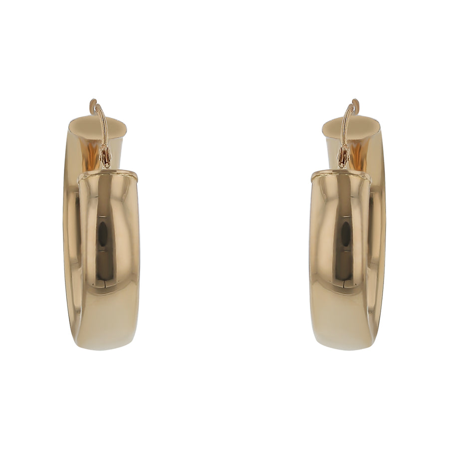 Hoop Earrings in 14k Yellow Gold