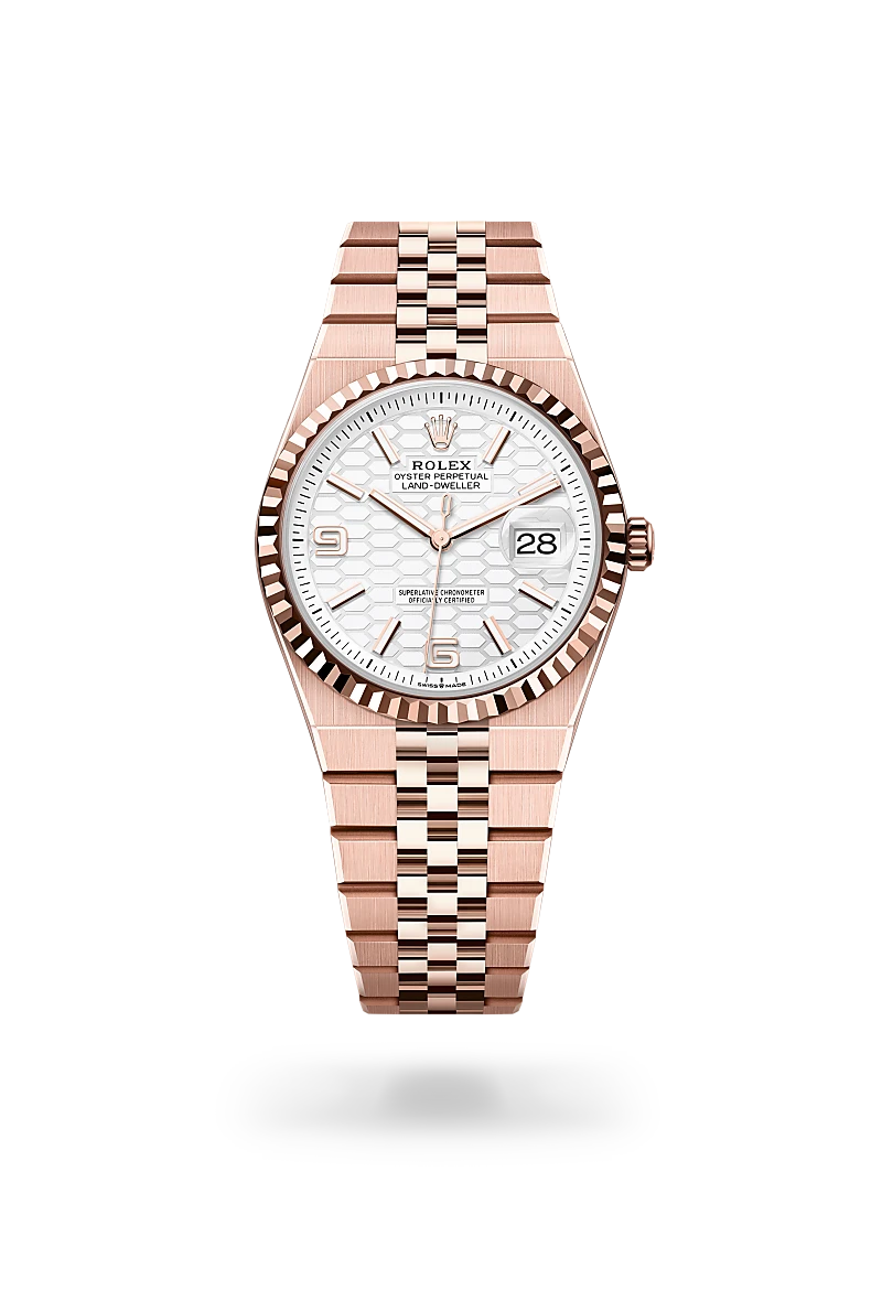 Rolex Land-Dweller in 18 kt Everose gold, M127235-0001 - Schiffman's Jewelers