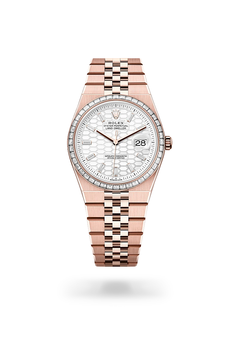 rolex Land-Dweller in 18 kt Everose gold, M127285TBR-0002 - Schiffman's Jewelers