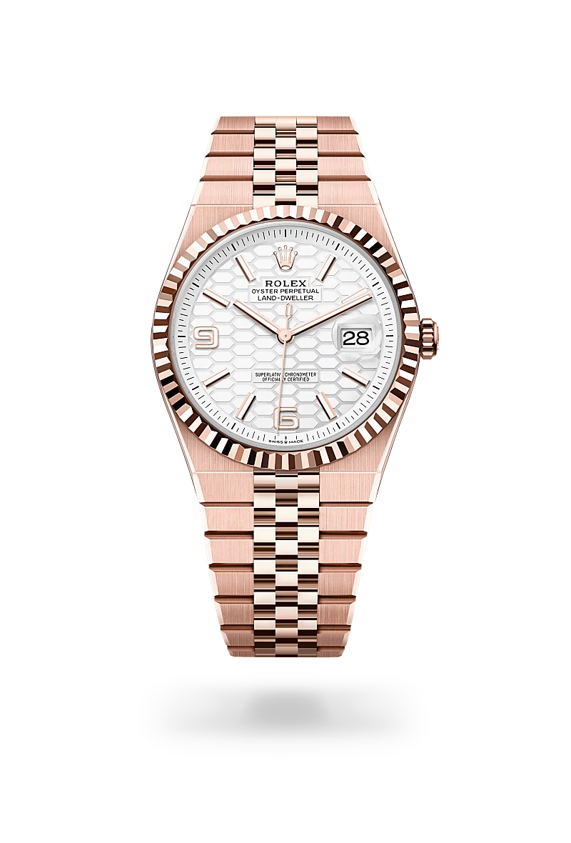 Rolex Land-Dweller in 18 kt Everose gold, M127335-0001 - Schiffman's Jewelers