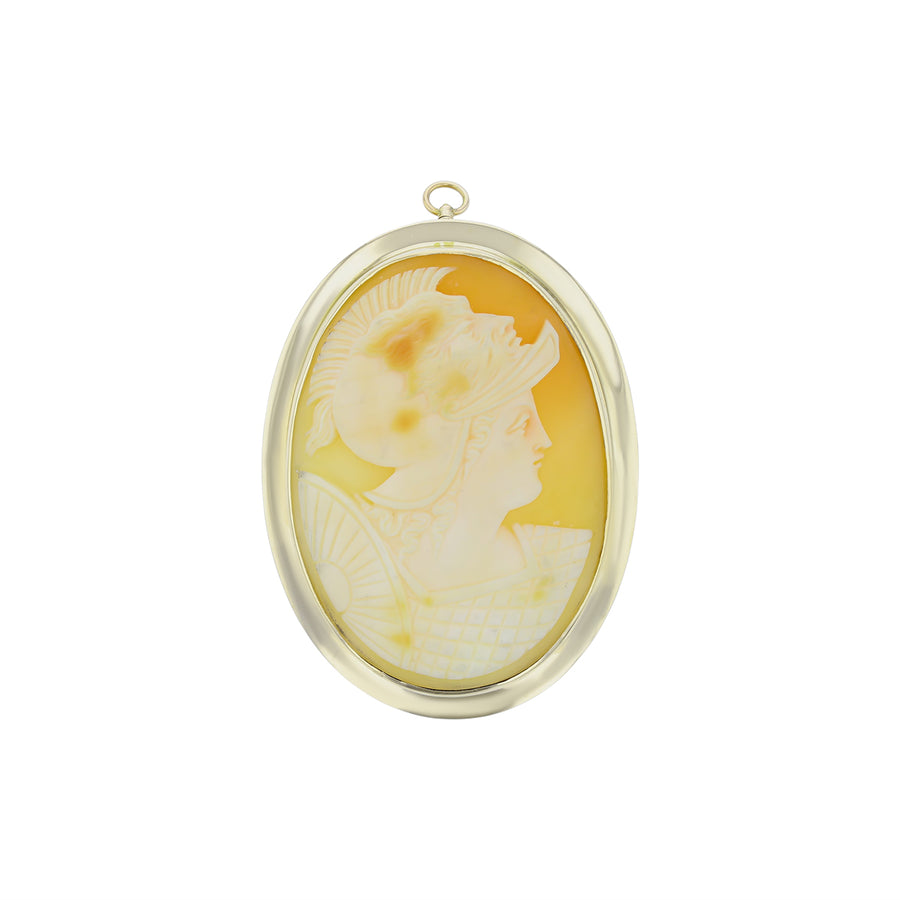 Shell Cameo Broach in 14k Yellow Gold