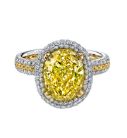 3.54ct Oval Diamond and 0.70ct Round Diamonds Halo Ring in Platinum and 18K Yellow Gold