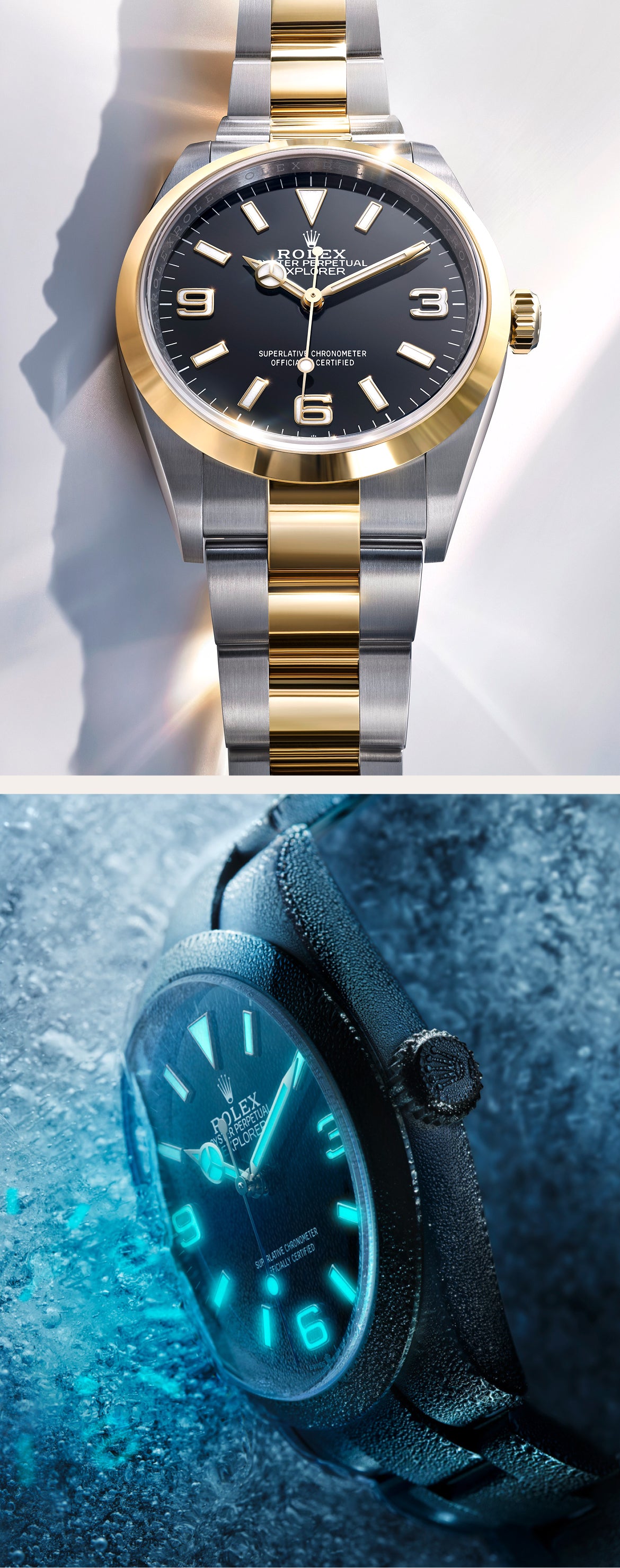 Rolex in Greensboro - Schiffman's Jewelers