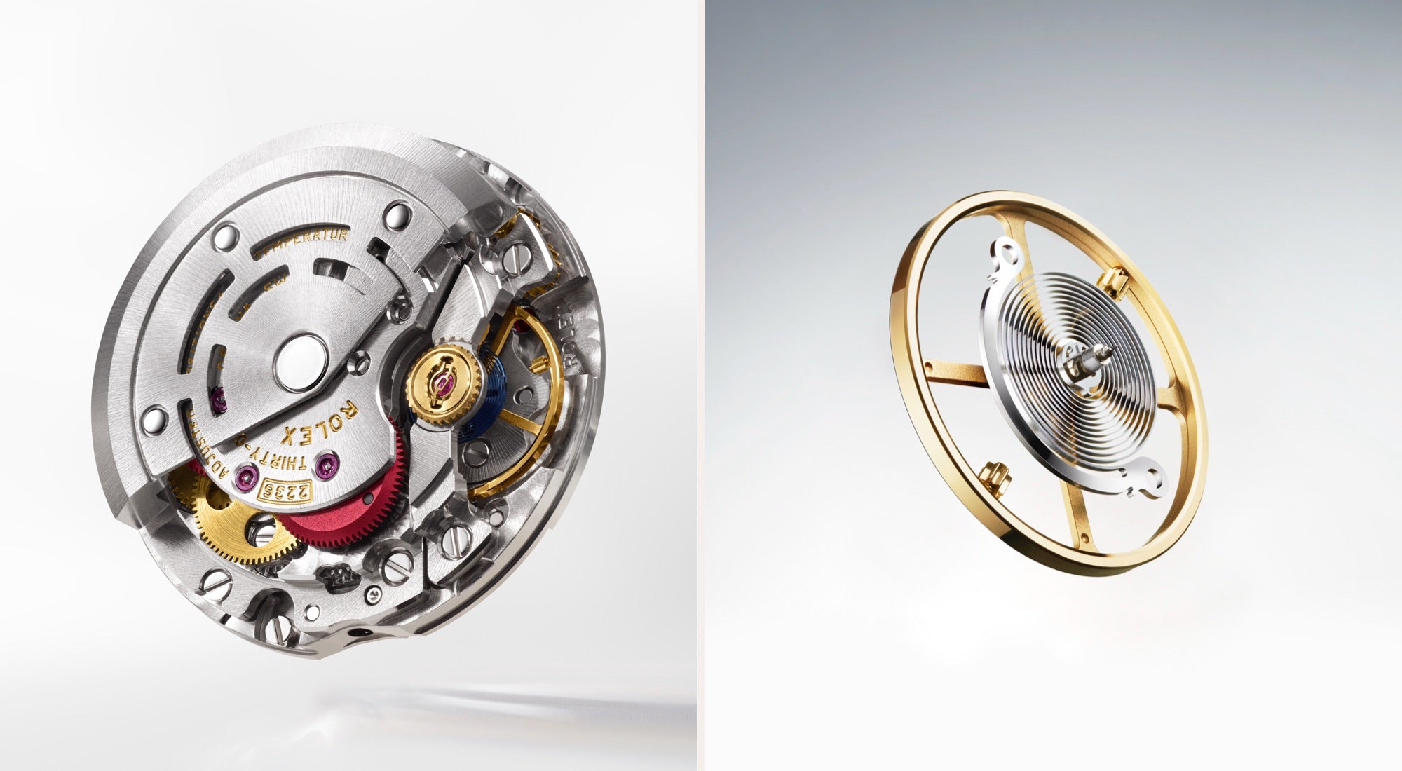 Rolex in Greensboro - Schiffman's Jewelers