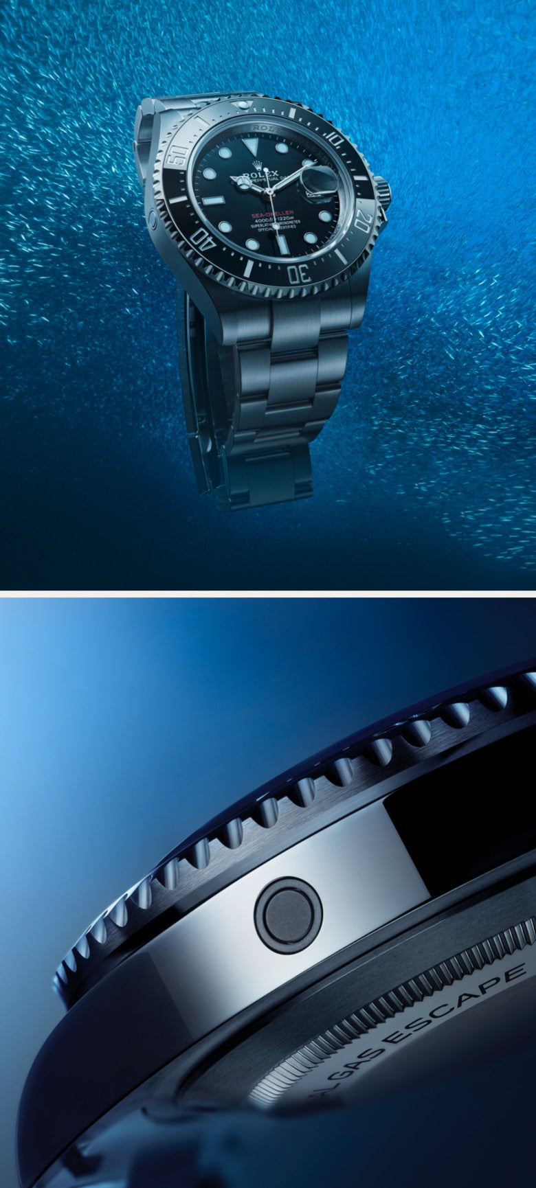 Rolex in Greensboro - Schiffman's Jewelers