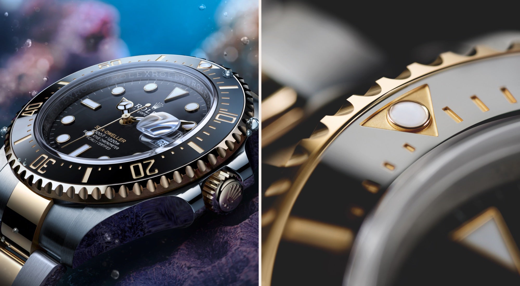 Rolex in Greensboro - Schiffman's Jewelers