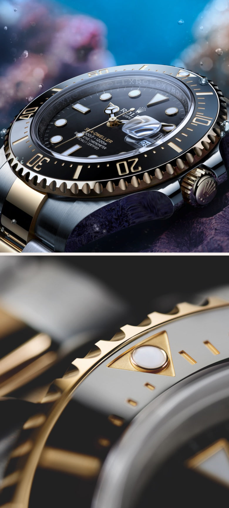 Rolex in Greensboro - Schiffman's Jewelers