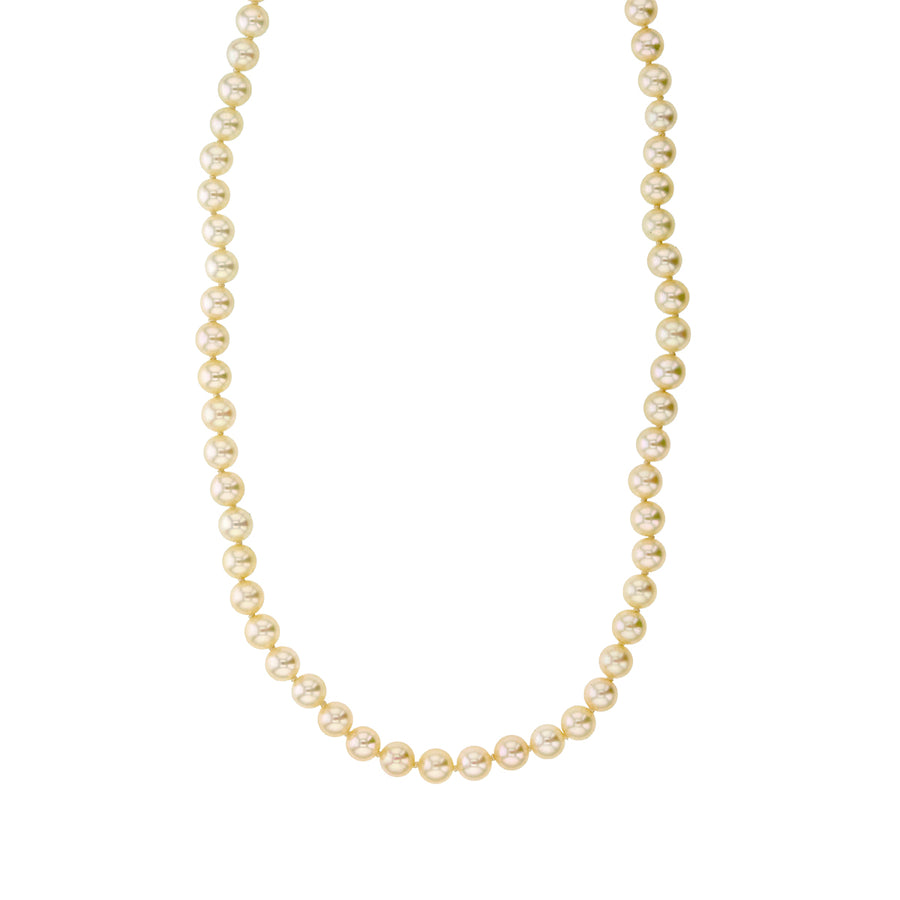 Mastoloni 5x5.5mm Cultered Pearl Necklace in 14K Yellow Gold, 16"