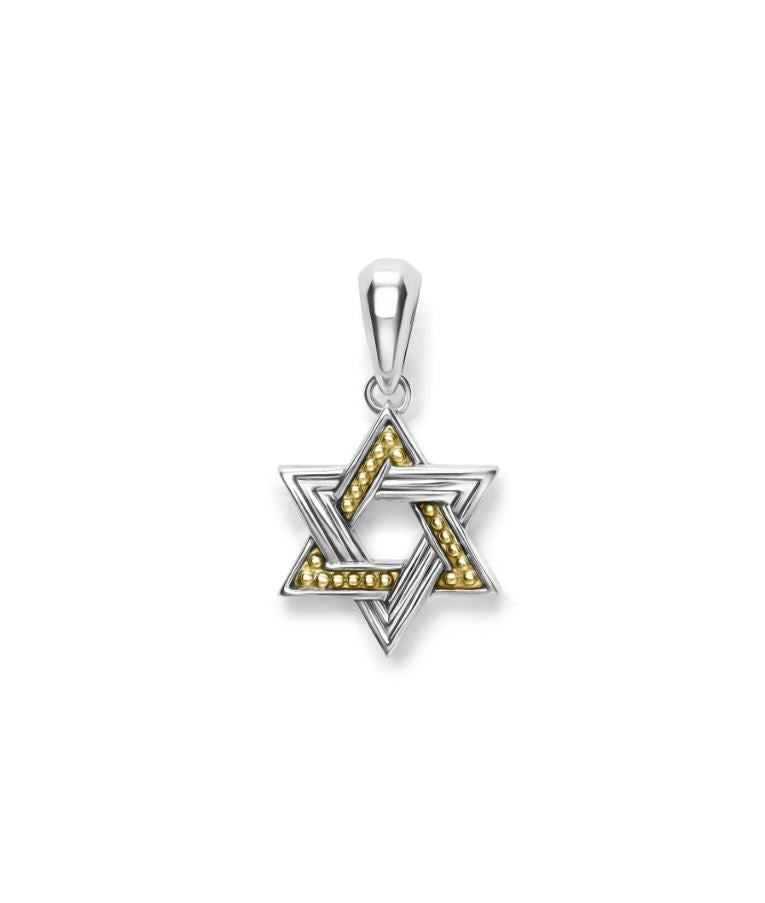 Anthem Star of David Amulet Pendant in 18K Yellow Gold and Sterling Silver, without chain