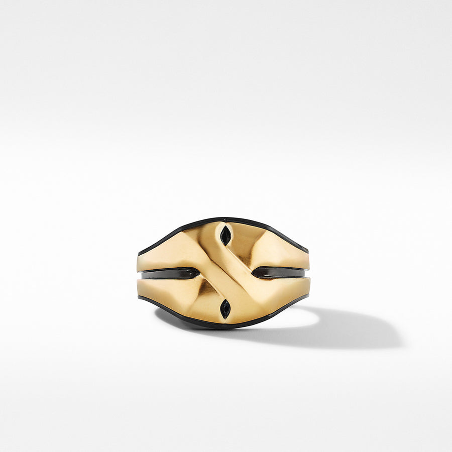 Armory Signet Ring in Black Titanium with 18K Yellow Gold