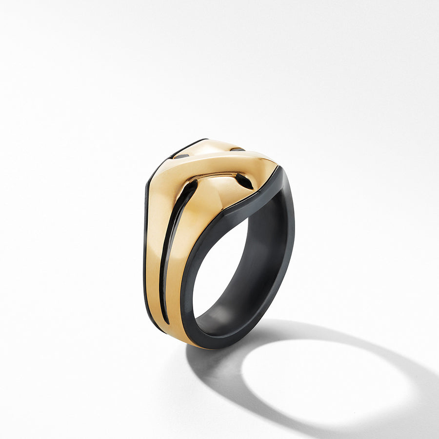 Armory Signet Ring in Black Titanium with 18K Yellow Gold