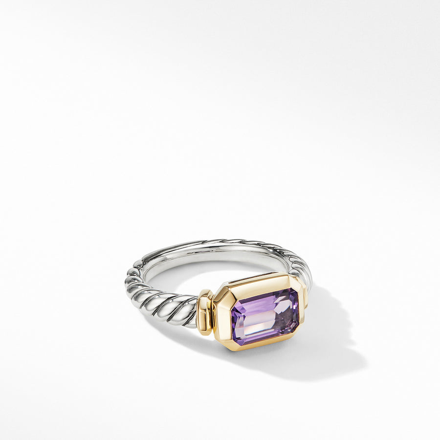 Novella Ring with Amethyst and 18K Yellow Gold