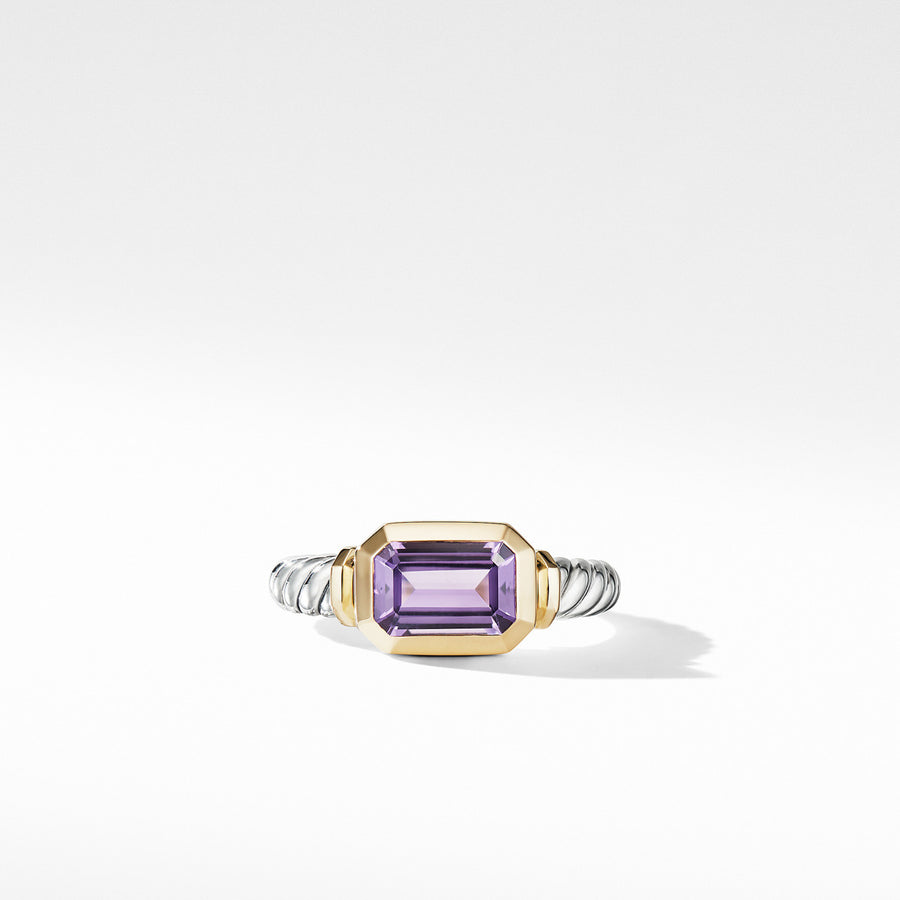 Novella Ring with Amethyst and 18K Yellow Gold